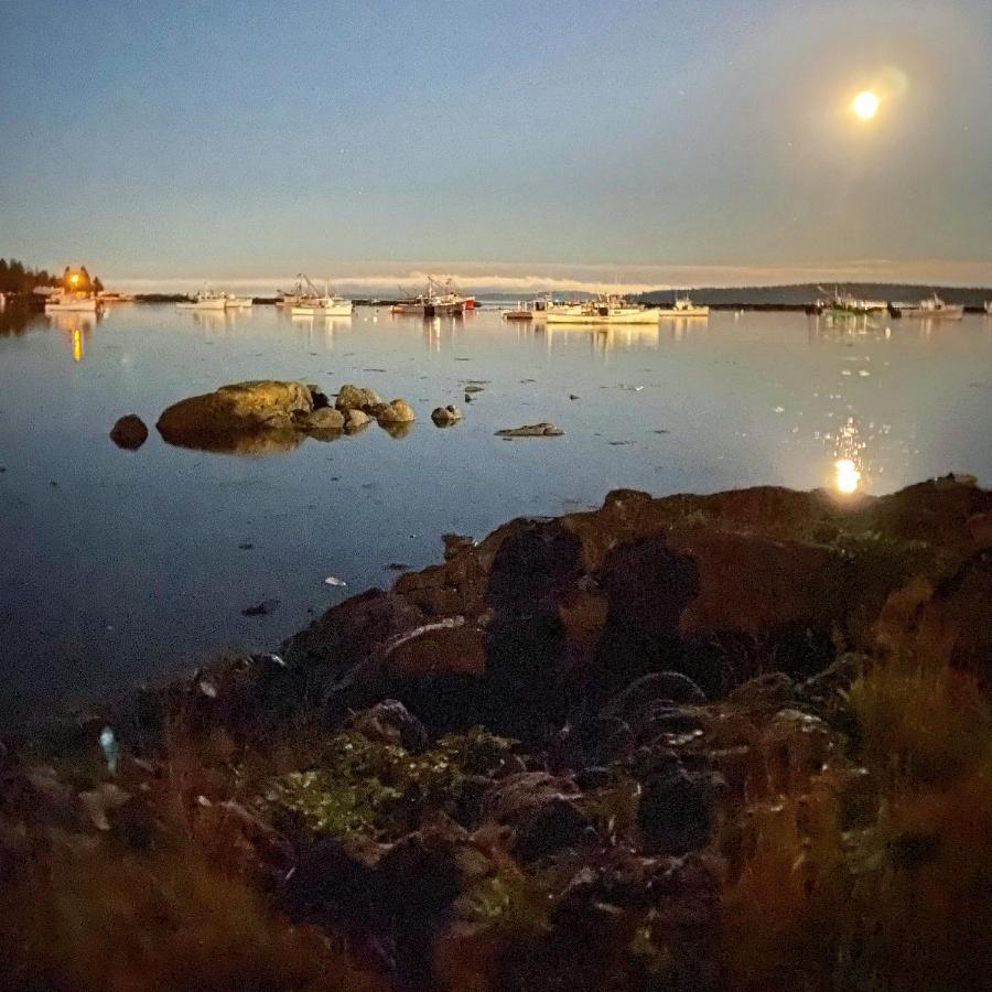 Harbor House Hotel By Umaniii In Jonesport Maine Buitenkant foto